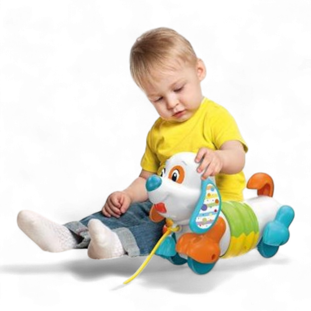 Charlie Cane Trainabile