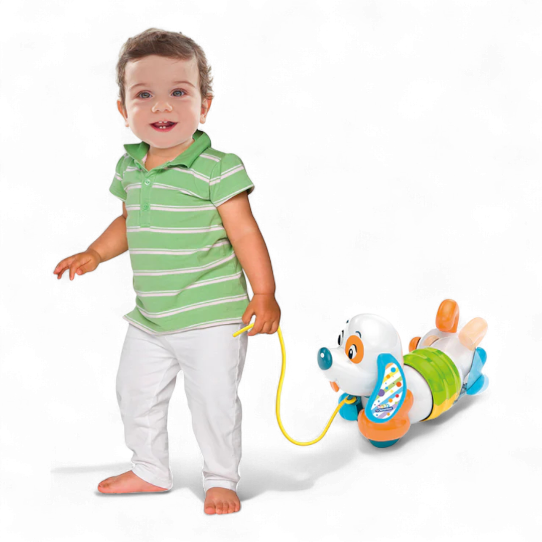 Charlie Cane Trainabile