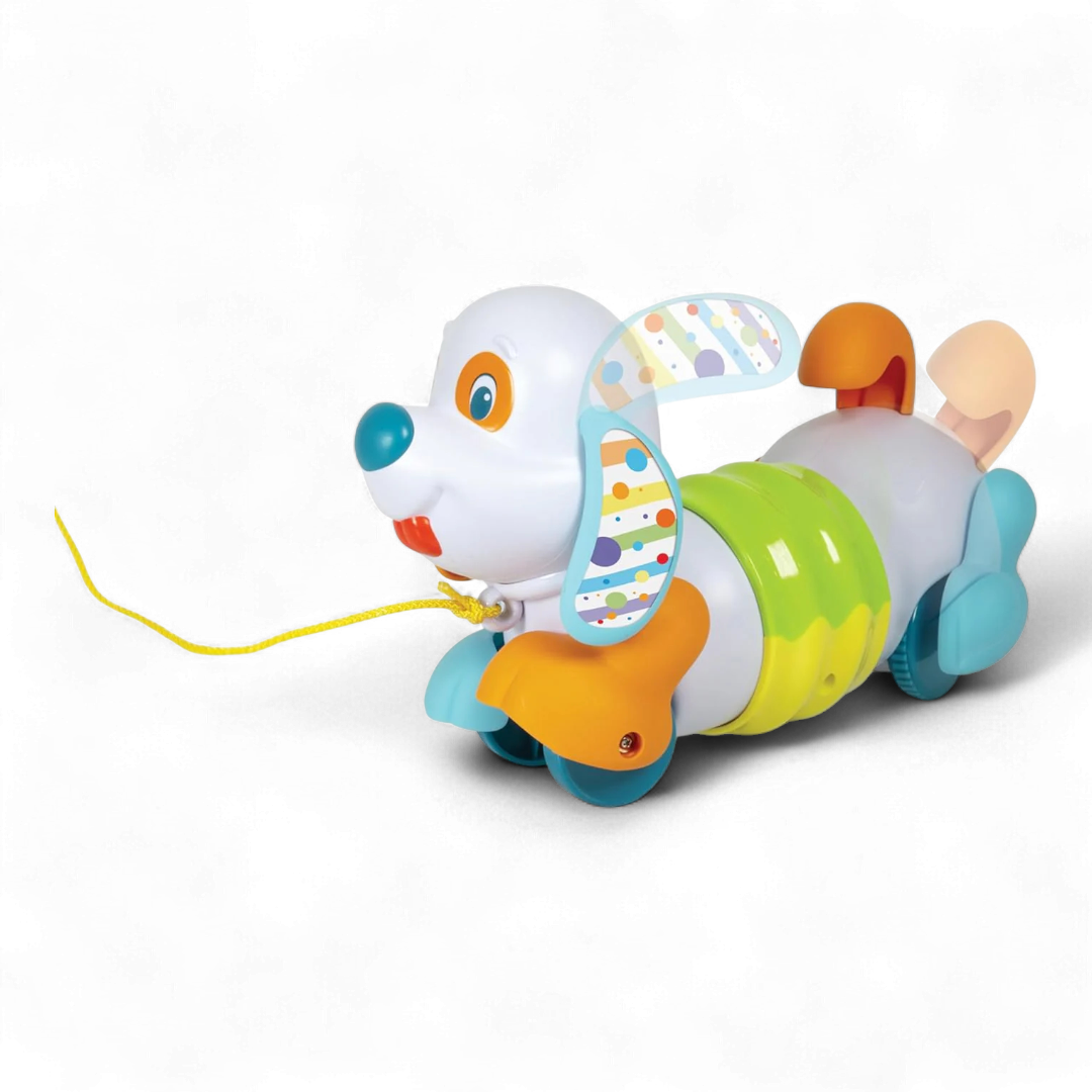 Charlie Cane Trainabile