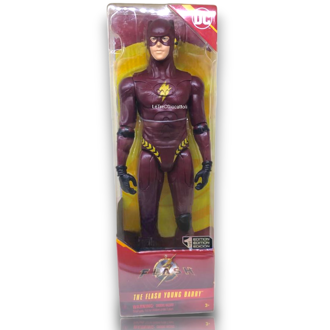 The Flash Young Barry Titan Hero 30 cm