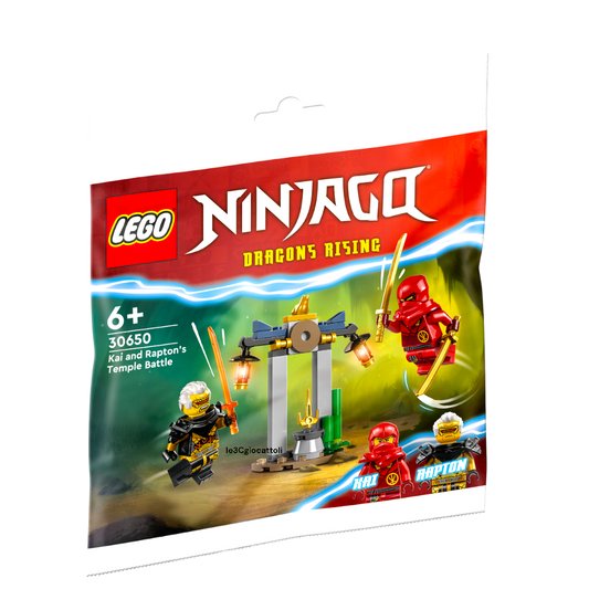 Lego Ninjago 30650 Battaglia nel Tempio
