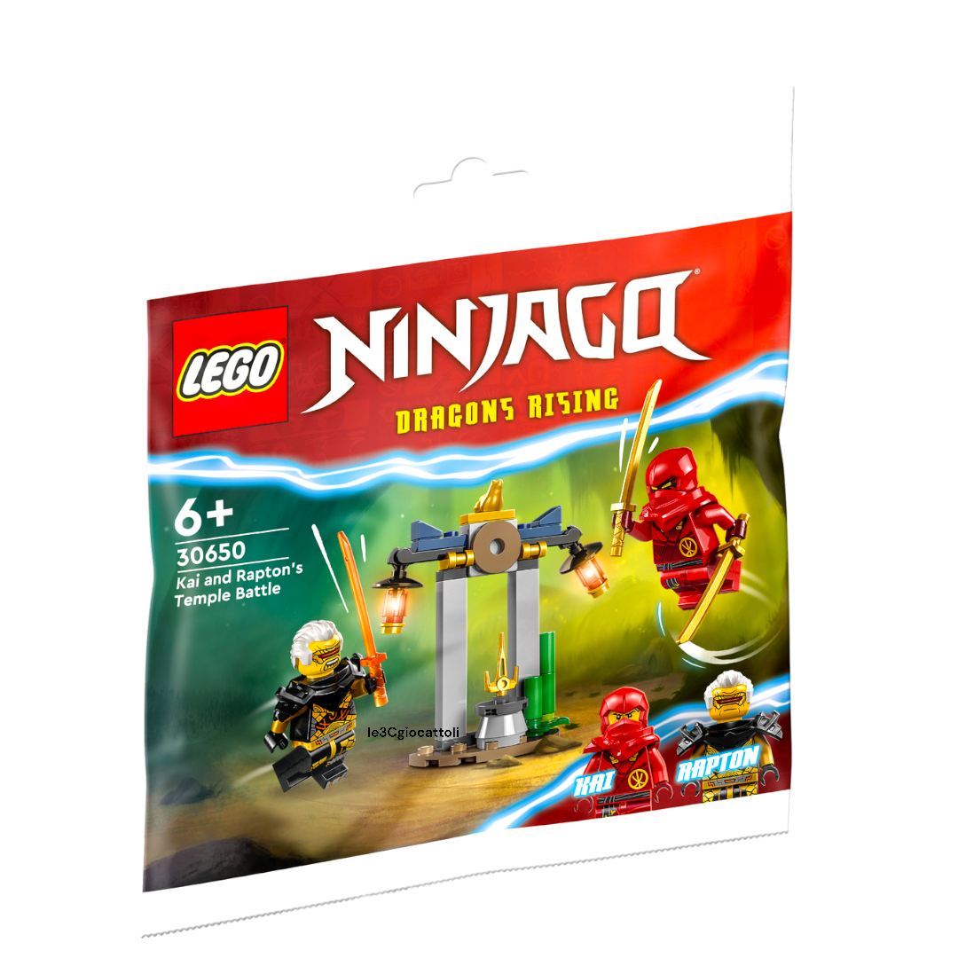 Lego Ninjago 30650 Battaglia nel Tempio