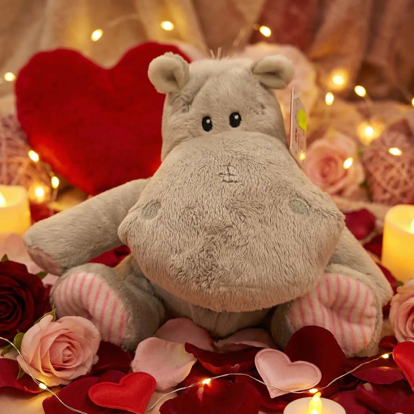 Peluches San Valentino