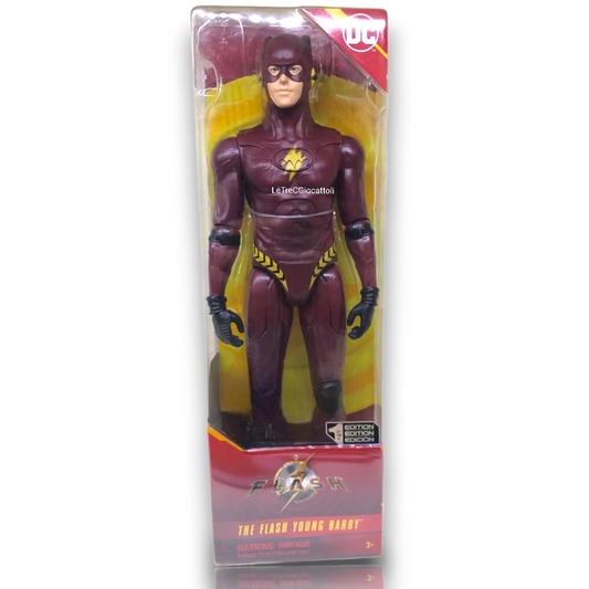 The Flash Young Barry Titan Hero 30 cm